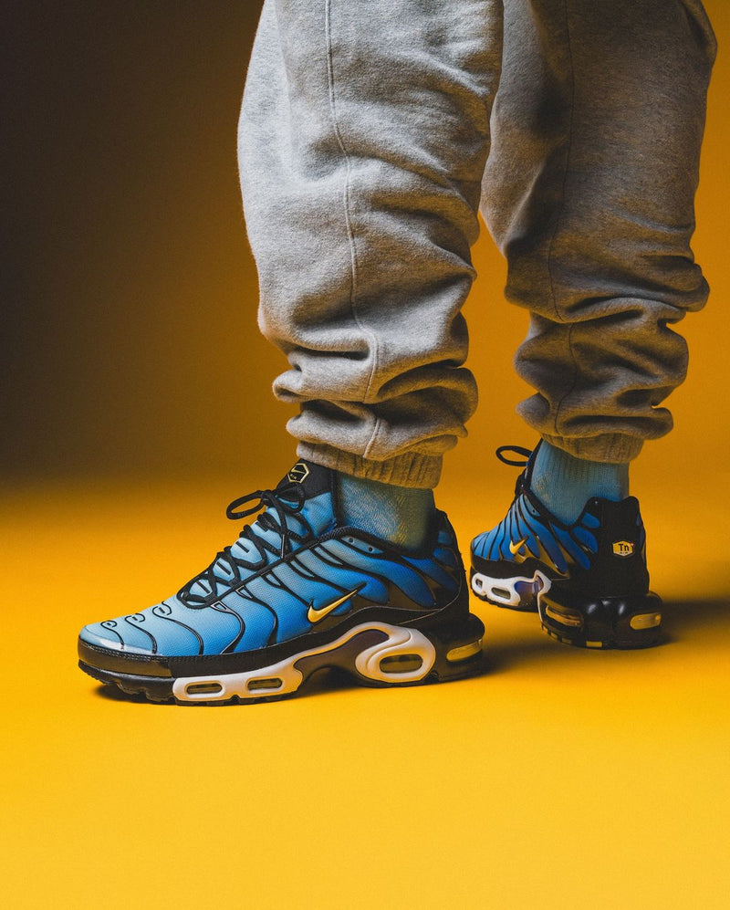 AIR MAX PLUS
